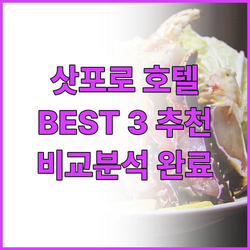 삿포로 호텔 추천 Best 3 위치,..