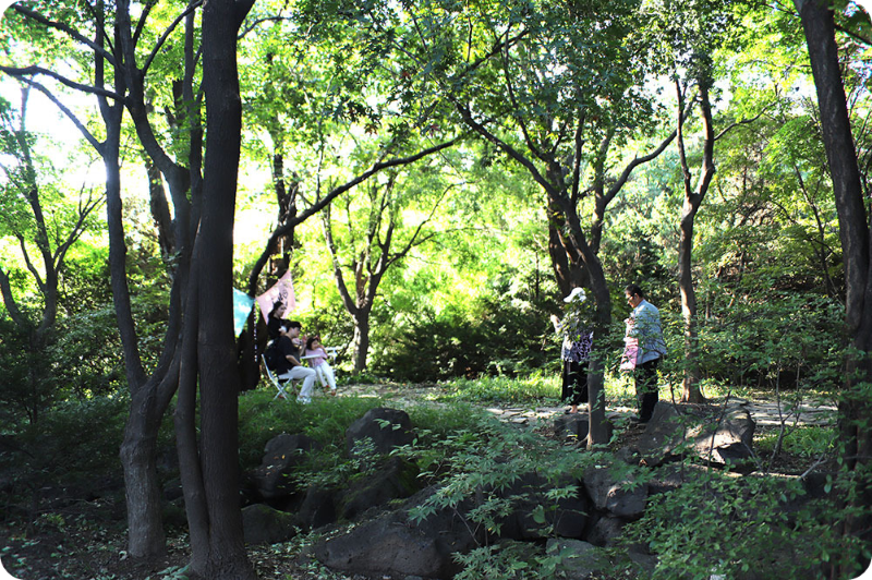 벽초지수목원 가을국화축제 이미지/ 출처: 벽초지수목원 홈페이지 벽초지수목원 가을국화축제 이미지/ 출처: 벽초지수목원 홈페이지 벽초지수목원 가을국화축제 이미지/ 출처: 벽초지수목원 홈페이지