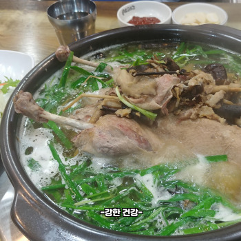 오리백숙 효능