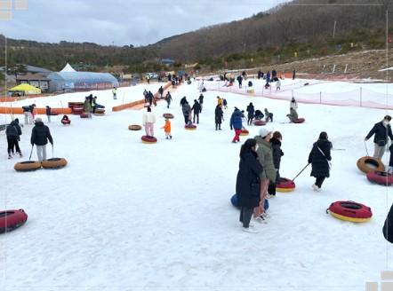 부산 근교 눈썰매장 비교: 짜릿한 스릴 '양산 에덴밸리' vs 힐링 가득 '밀양 얼음골' (가격, 할인 꿀팁 총정리!)