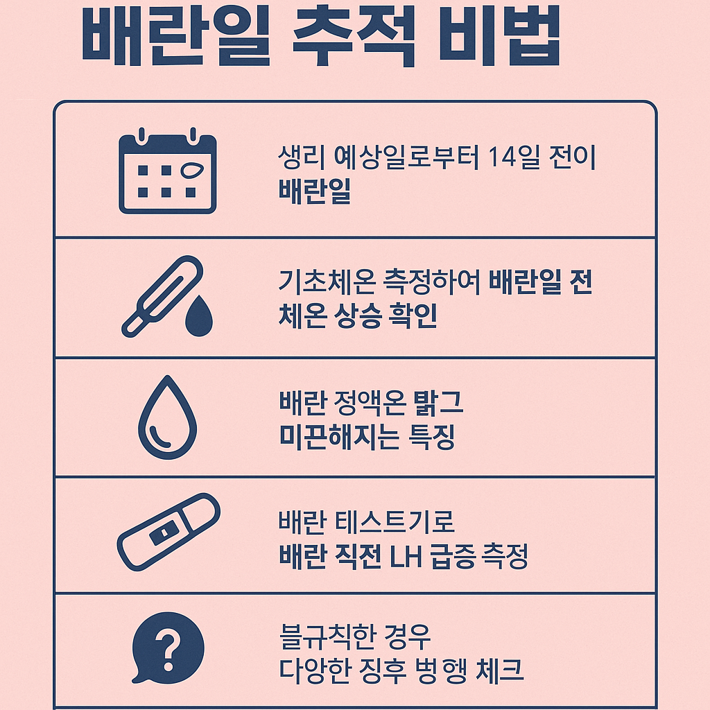 배란일