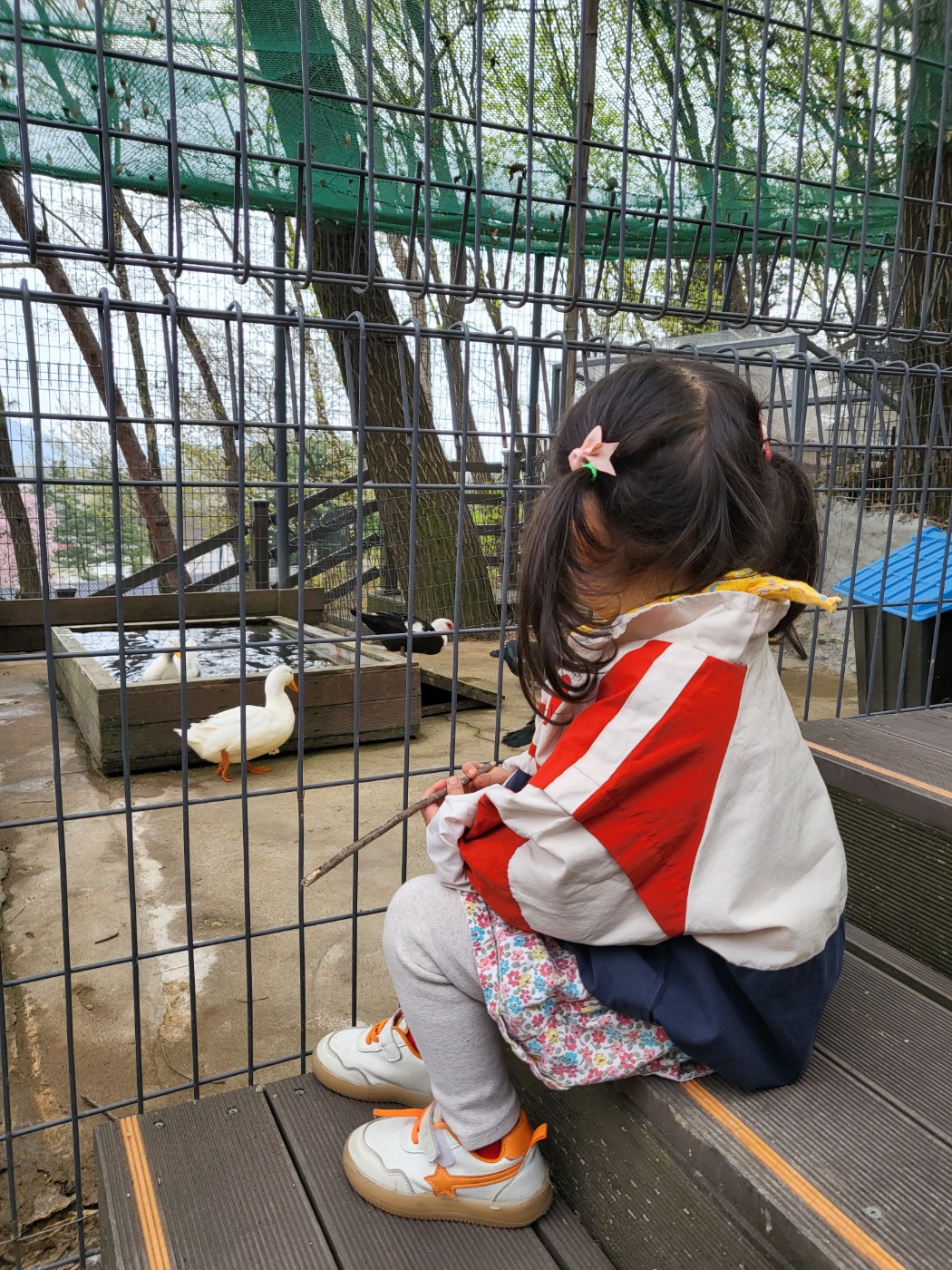 오리를 구경하는 아이
