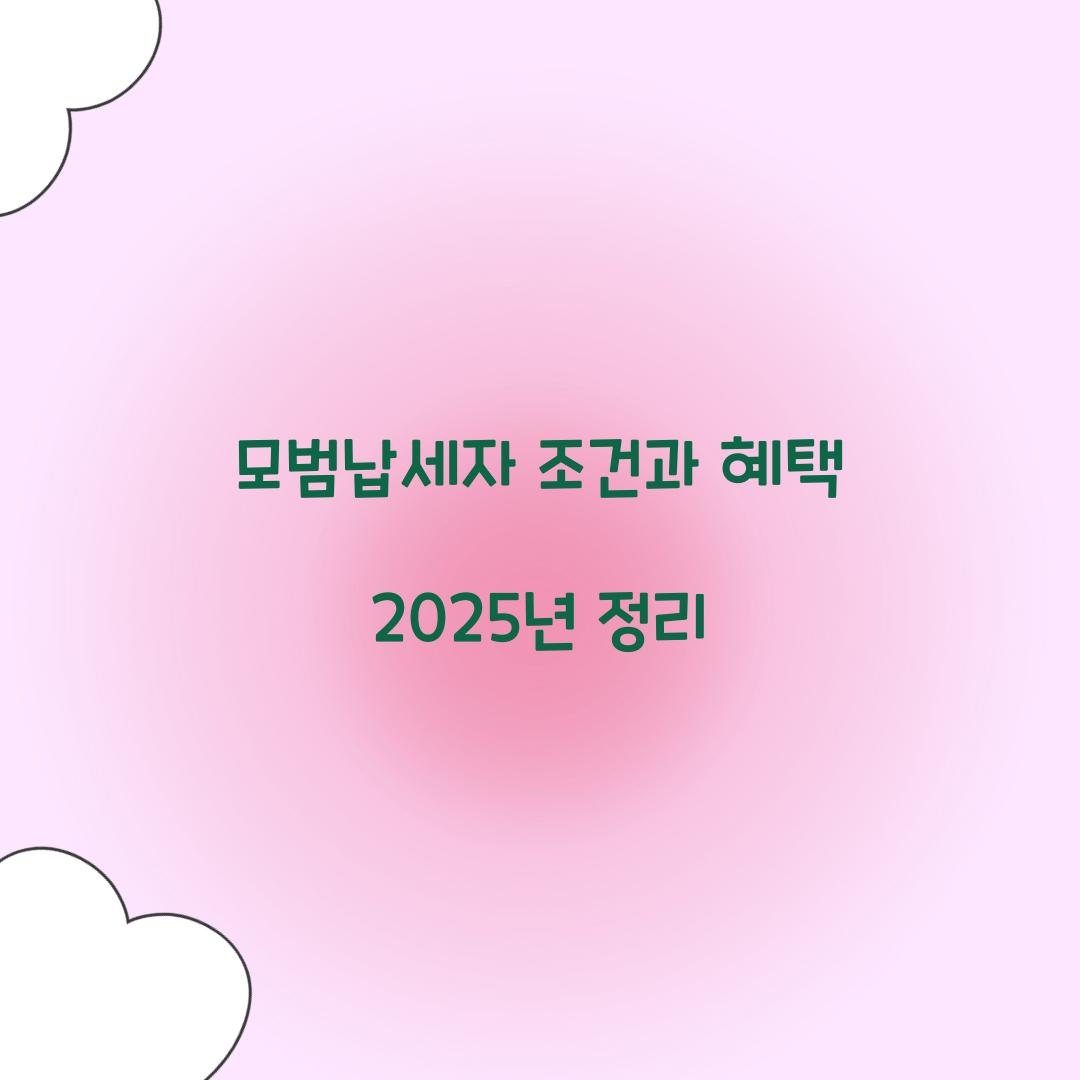 모범납세자 조건