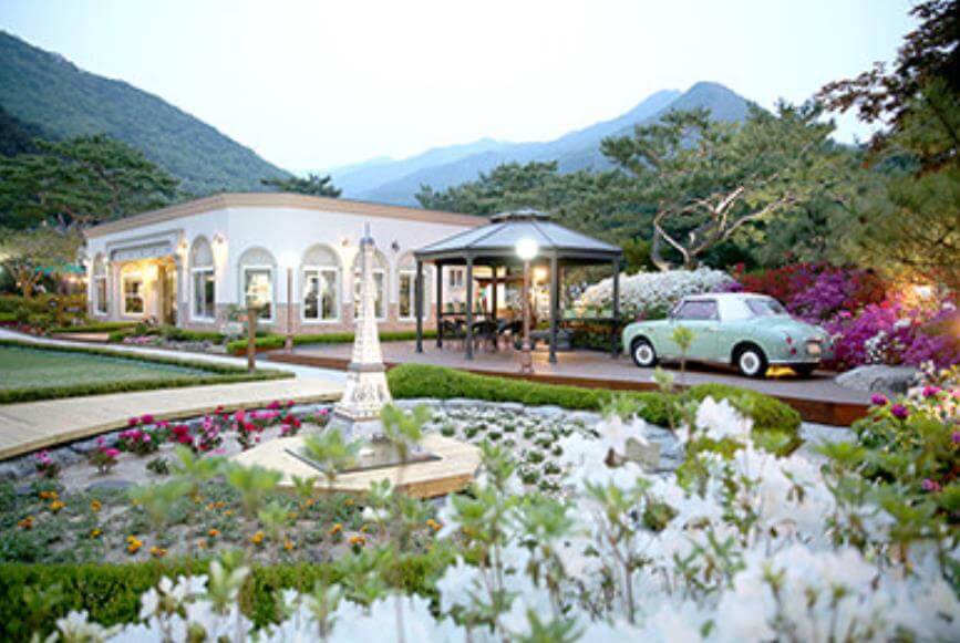 생방송오늘저녁 이색식물원