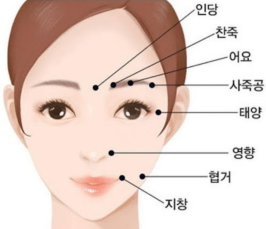인체의 365혈 중에서 얼굴에 위치를 하고 있는 인당, 찬죽, 어요, 사죽공, 태양, 영향, 협거, 지창 경혈의 위치를 검은 점으로 표시를 한 이미지 사진