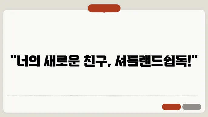 셔틀랜드쉽독 입양방법 알아보기