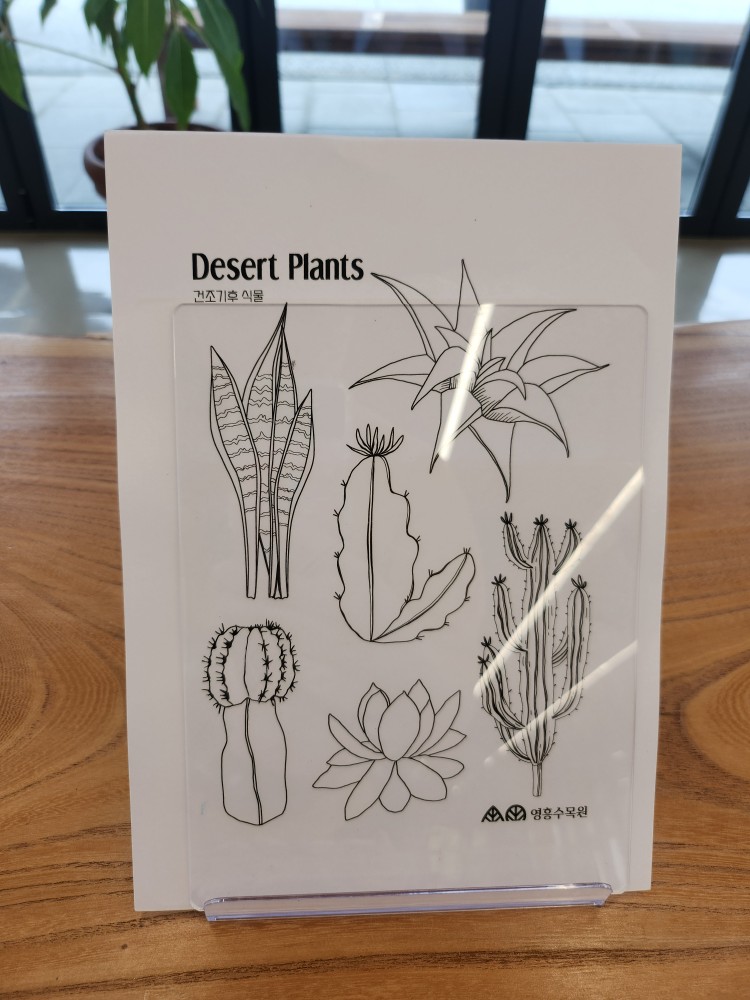 색칠 놀이 도안