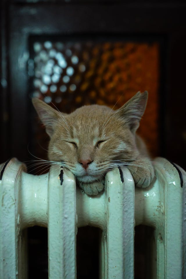 에너지 효율 등급 3분 완벽 해석법