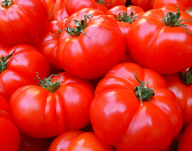 위암에-좋은-음식-토마토