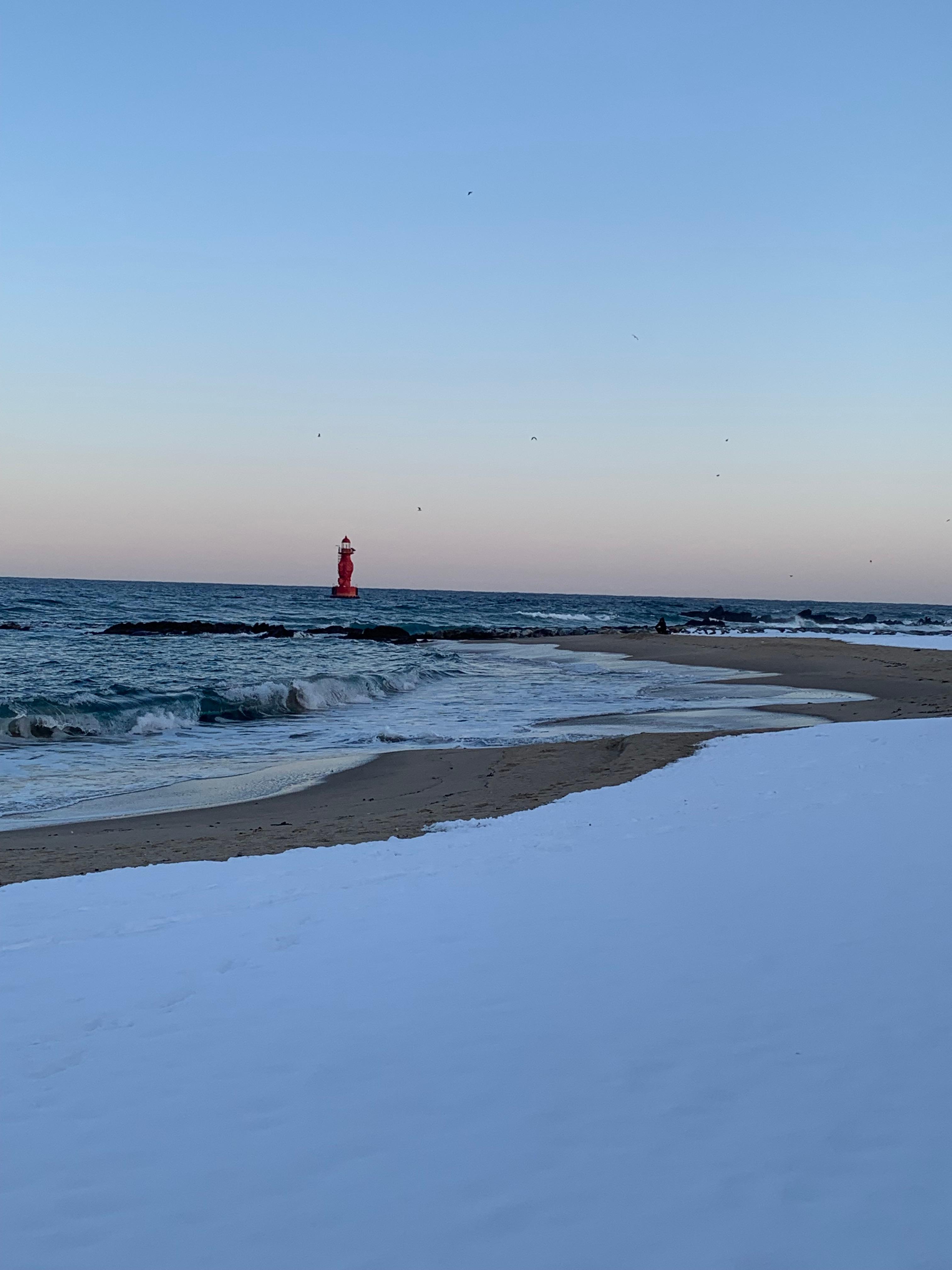 묵호 오션뷰 숙소 어달을담다 후기🌊 통창뷰에 청결까지 완벽한 펜션 추천!
