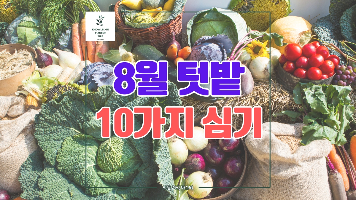 8월에 심는 10가지 작물 총정리 - 텃밭