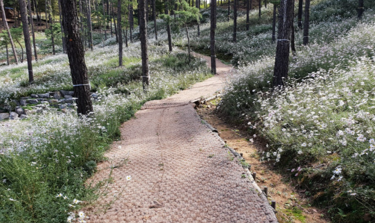 파주 율곡수목원