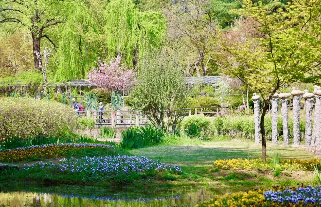남이섬-입장료-선박-운항-시간-선착장