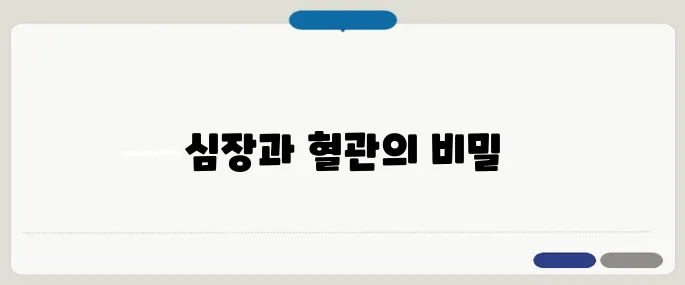 심혈관 질환이란 무엇인가요 심장, 혈관 모두 포함되는 질환