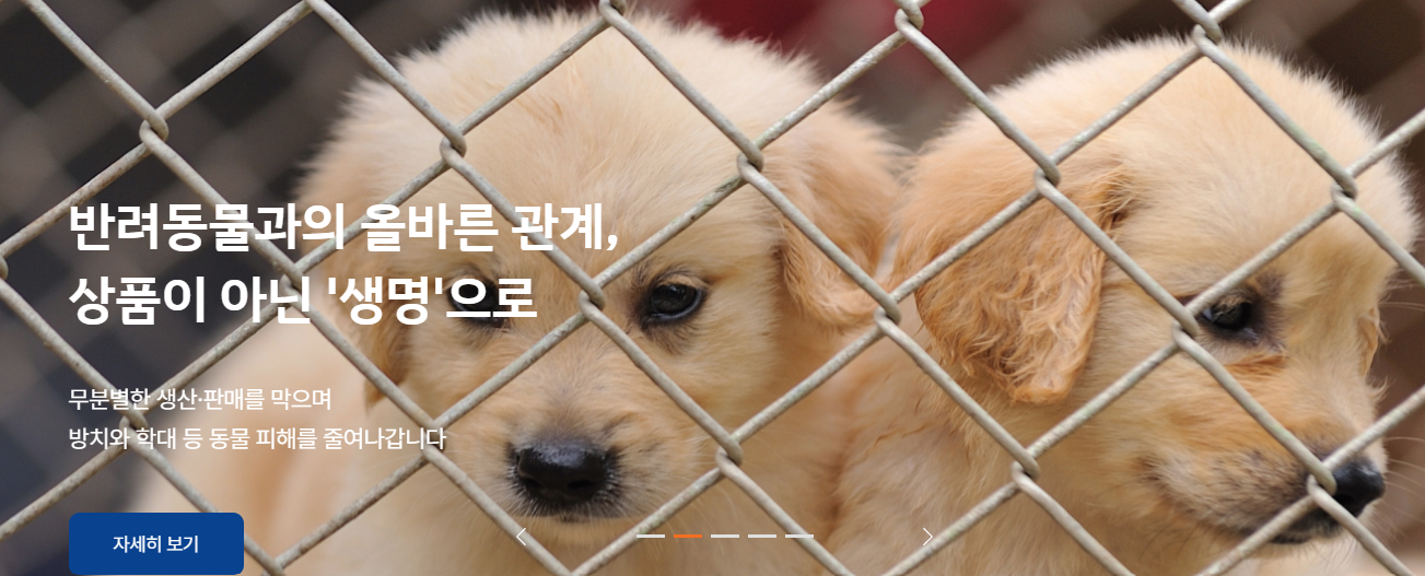 동물자유연대 의 강아지 생산판매 반대 켐페인 이미지