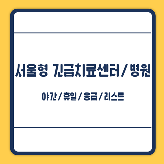 서울 긴급치료센터