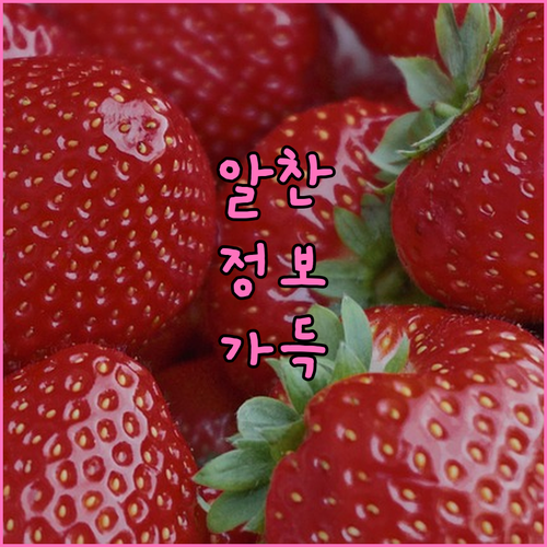 미국 ESTA 신청, 허위 정보는 즉..