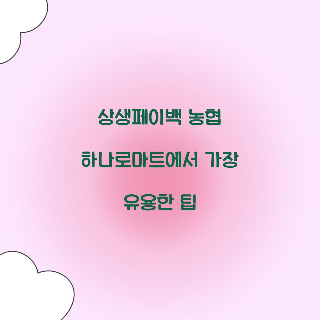 상생페이백 농협 하나로마트에서 가장 유용한 팁