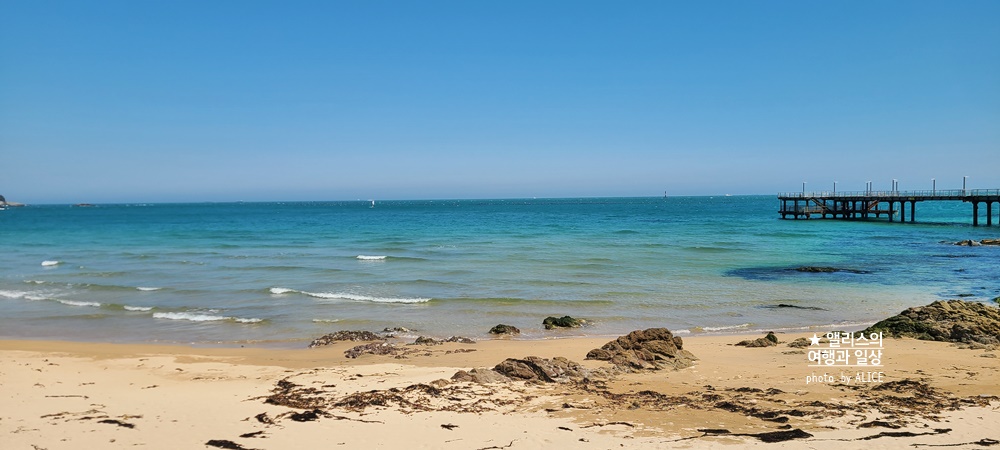 2022 부산 해수욕장 개장 정보: 해운대, 광안리, 송정, 일광, 송도, 임랑, 기장