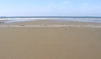 태안 신두리해수욕장 신두리해안사구 자연 풍경과 체험_19