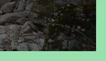 동학사계곡