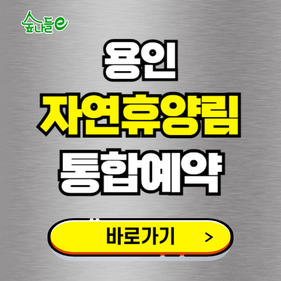 용인 자연휴양림 온라인 예약하기 ❘ 숙소 야영장 캠핑장 실시간 예약 현황 보기 ❘ 경기 용인시