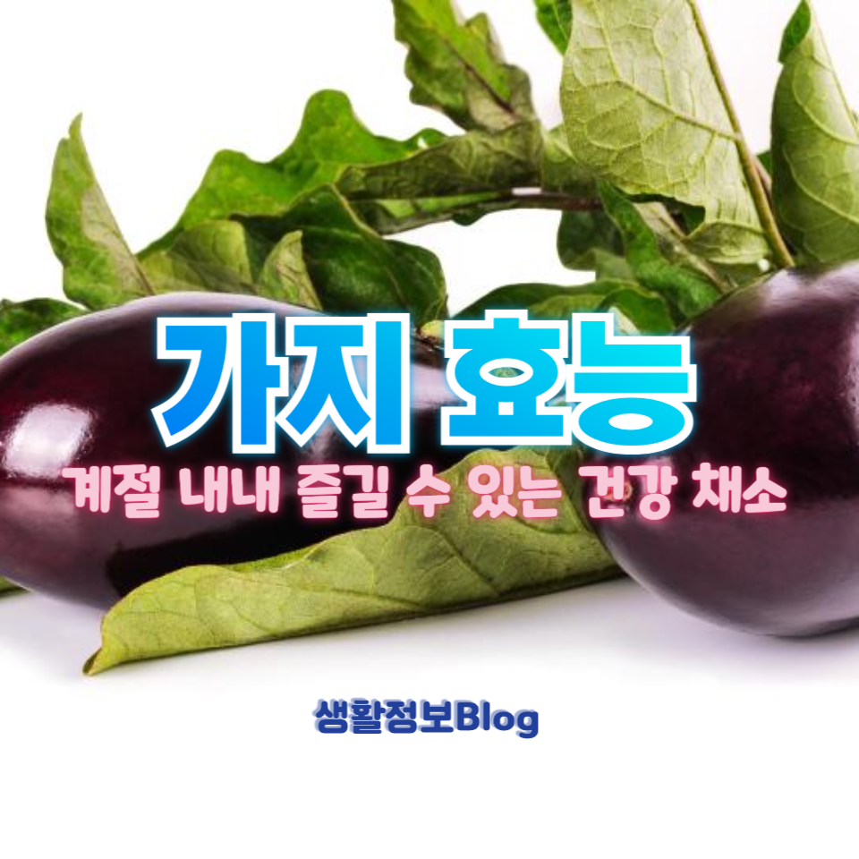 가지의 효능과 건강 비법