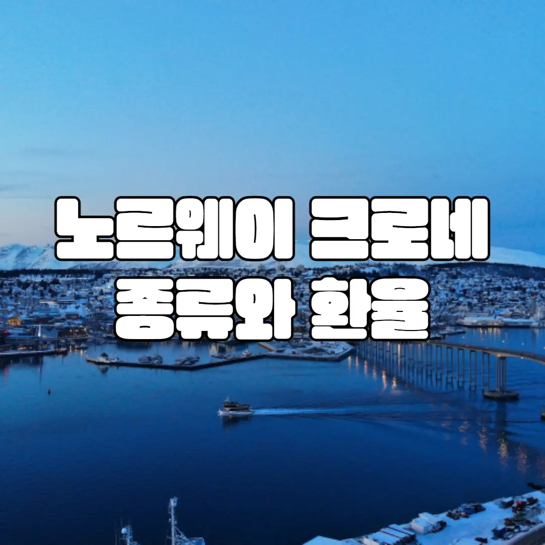 노르웨이 화폐 크로네