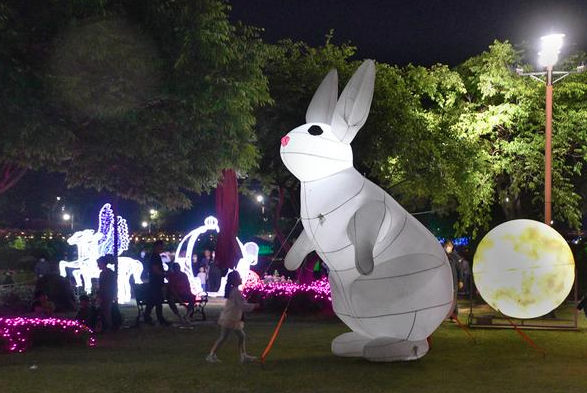 2025 삼척 장미공원 장미꽃 축제