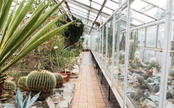 자연의 역사가 기록된 박물관에서 시간 여행하기