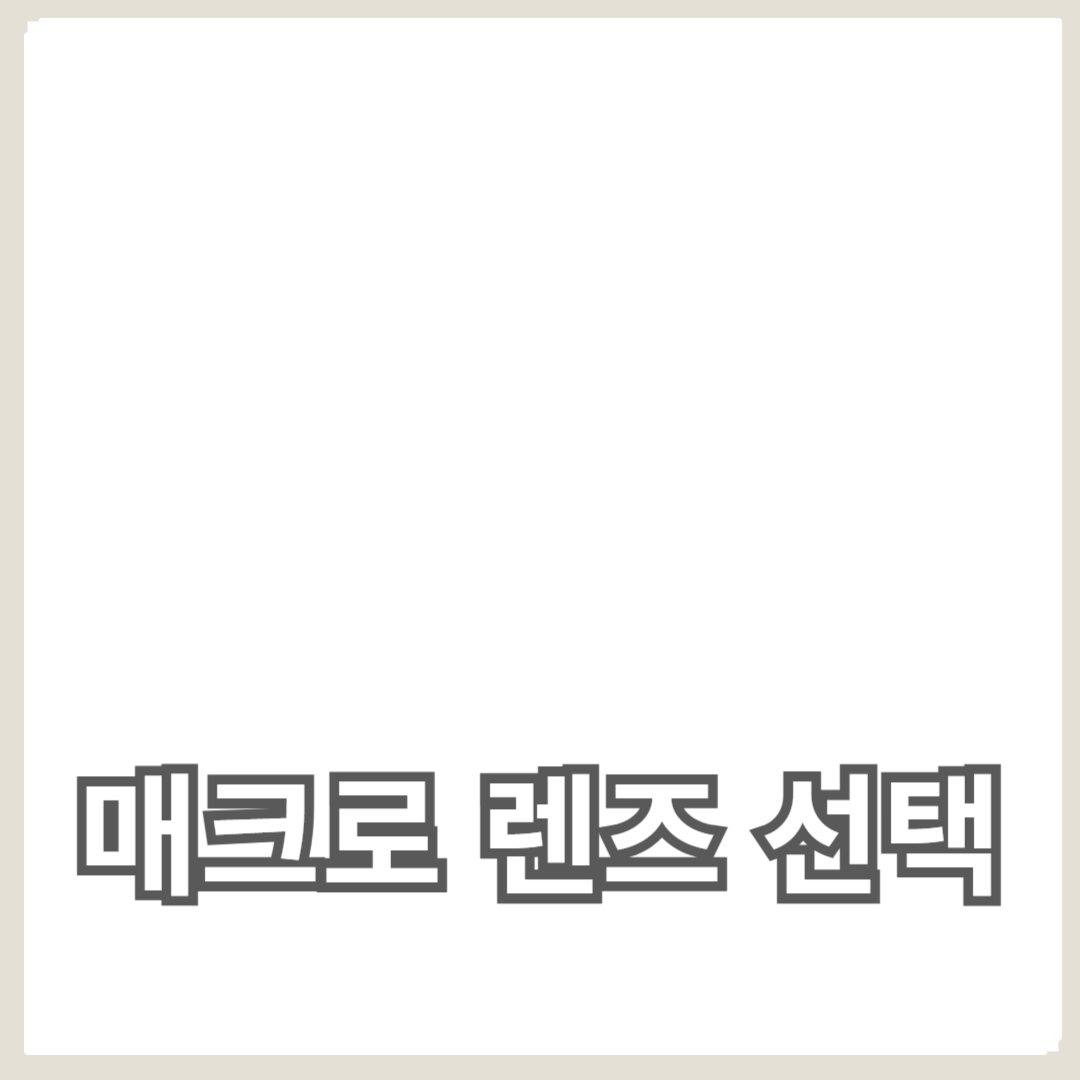 근접 촬영을 위한 매크로 렌즈 선택과 활용법