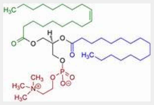 피로-회복-영양제