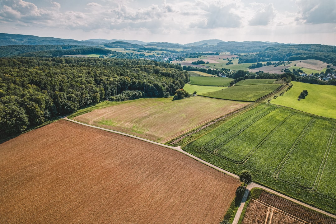 Agricultural.