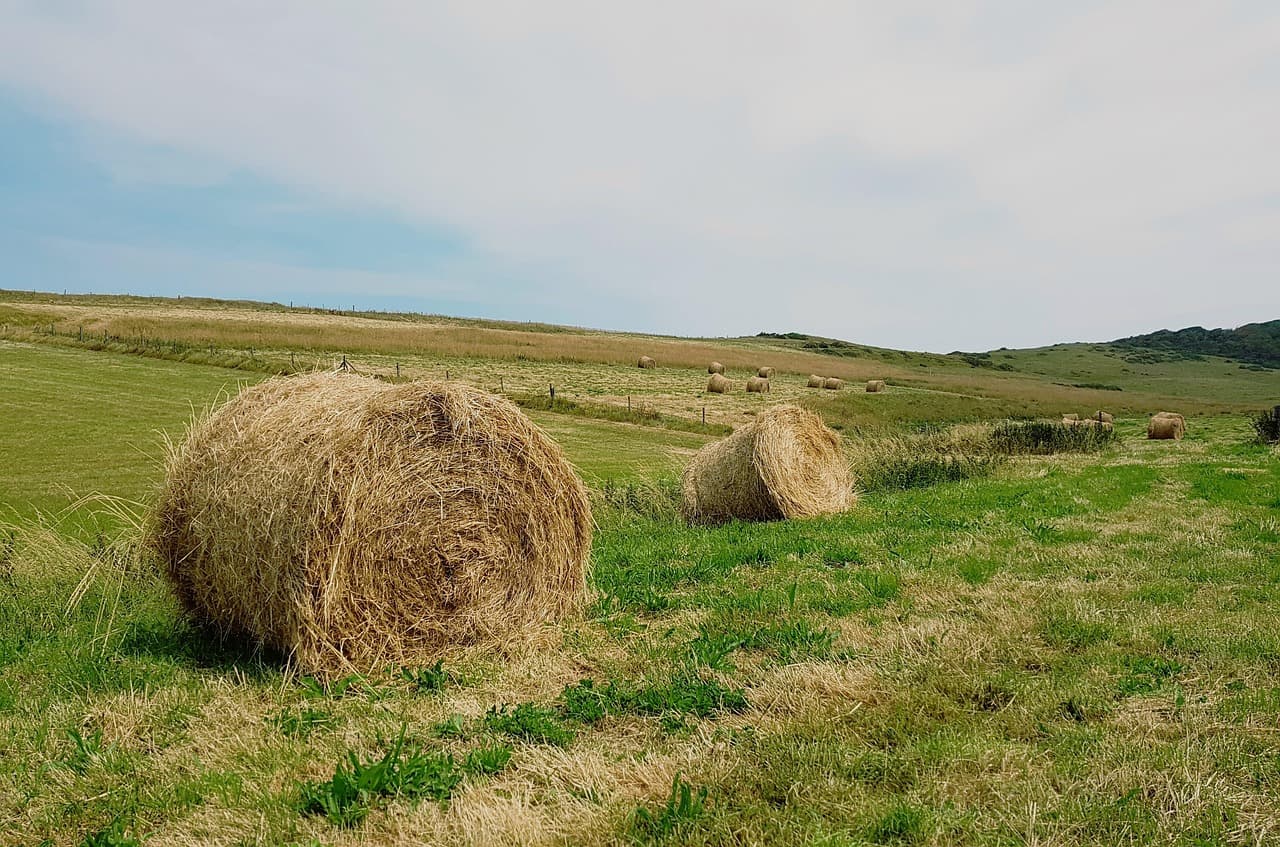 공시지가 조회 바로가기 정보