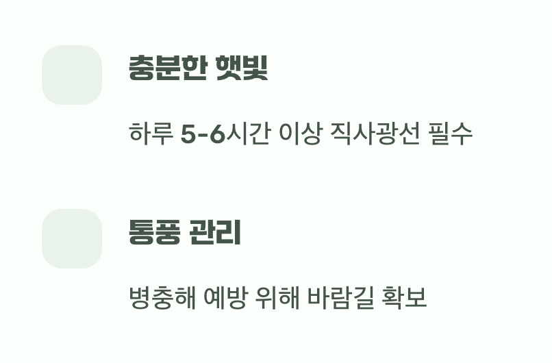 최고의 보약, 햇살과 바람