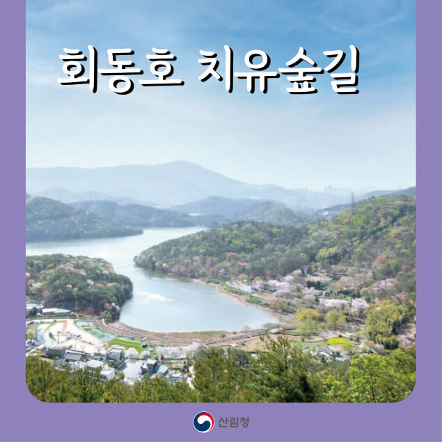[명품숲길 50선] 부산 금정구 회동호 숲길 : 도심 속 호수와 숲이 어우러진 힐링 코스