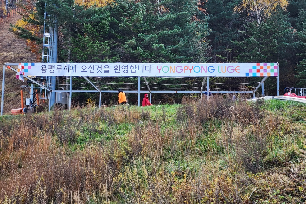 용평리조트 루지 후기