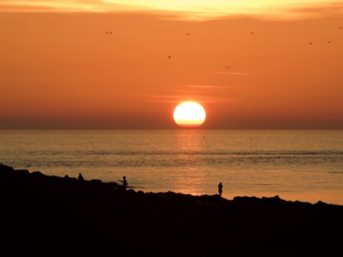 태안 가볼만한곳