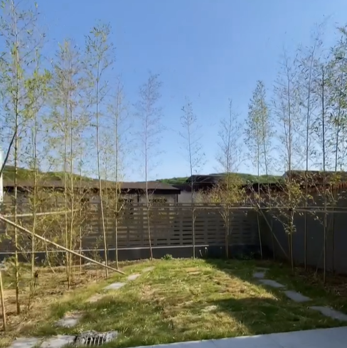 마당에는 작은 정원