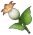 통통 연꽃