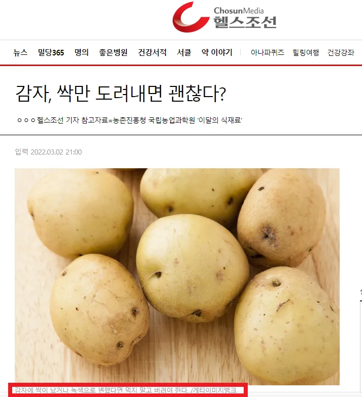싹난 감자 먹기 주의점 레시피_7