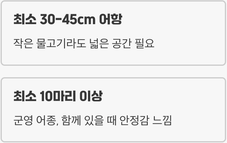 어항 - '운동장'이 좁으면 스트레스 받아요