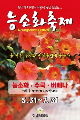 7월 축제 비체올린 능소화축제