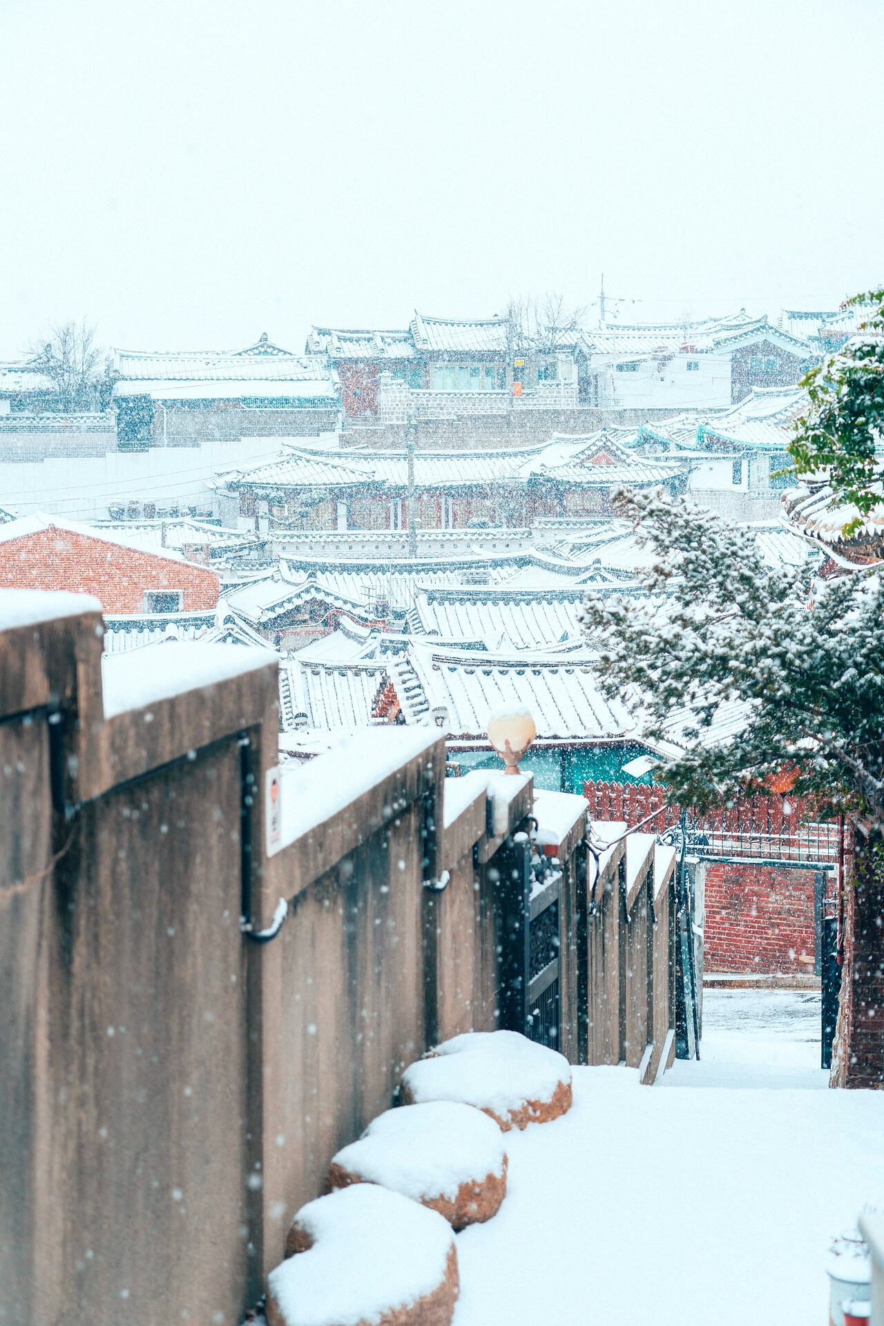 전용 주거지역 관련 사진
