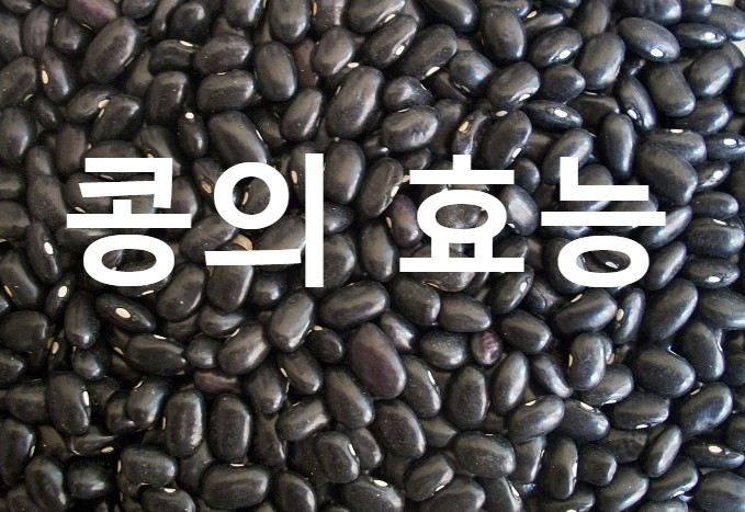 식물성 단백질 콩의 효능 100가지 검은콩 서리태 병아리콩 건강효과