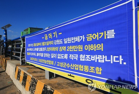 문어 금어기 기간 해제 남해 제주 여수 서해 삼천포 부산 돌문어 2025년1