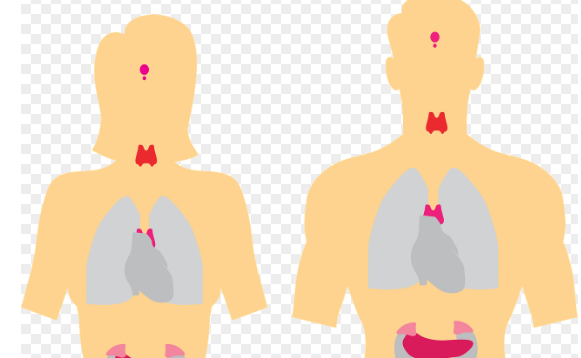 갑상선암의 조기 발견