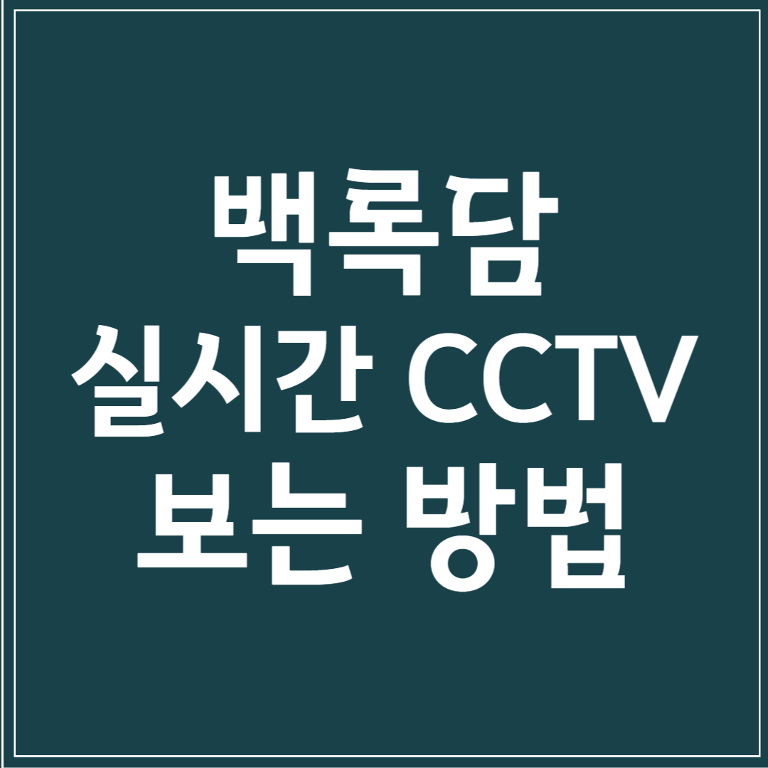 백록담 실시간 CCTV 보는 방법