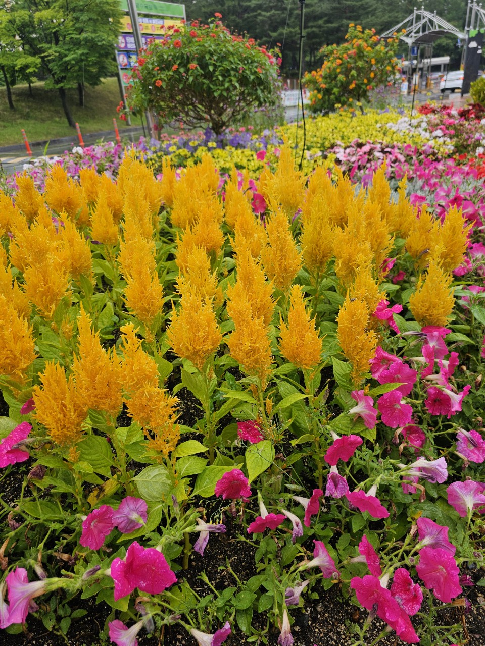 장애여성 복지 지원제도