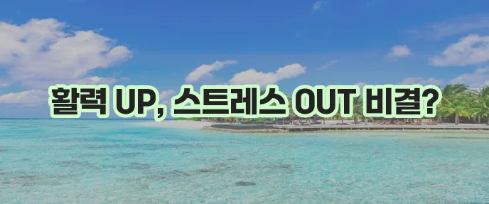 건강한 식단과 운동 에너지 UP 스트레스는 확실히 DOWN